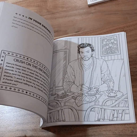 NEW HARRY STYLES Colouring Book - Picture 4 of 5